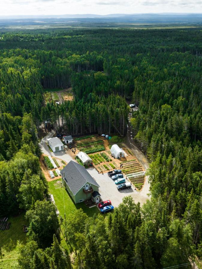 Upper Humber Settlement A Farmstay B&B Cormack Экстерьер фото